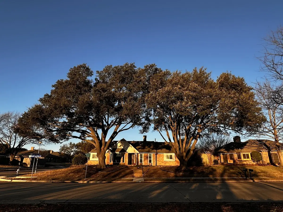 Established residential canopy tree shading a home in Tygh Valley